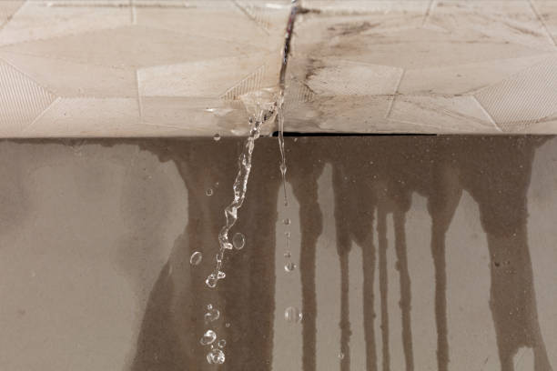 Professional Water Damage Repair technician working in Dudley, MA